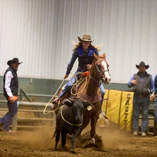 Northern Lights College takes Rodeo program in-house, expands vision for sport and recreation