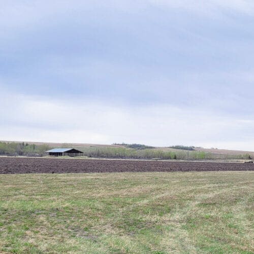 Crop Demonstration Plot coming to Northern Lights College Farm