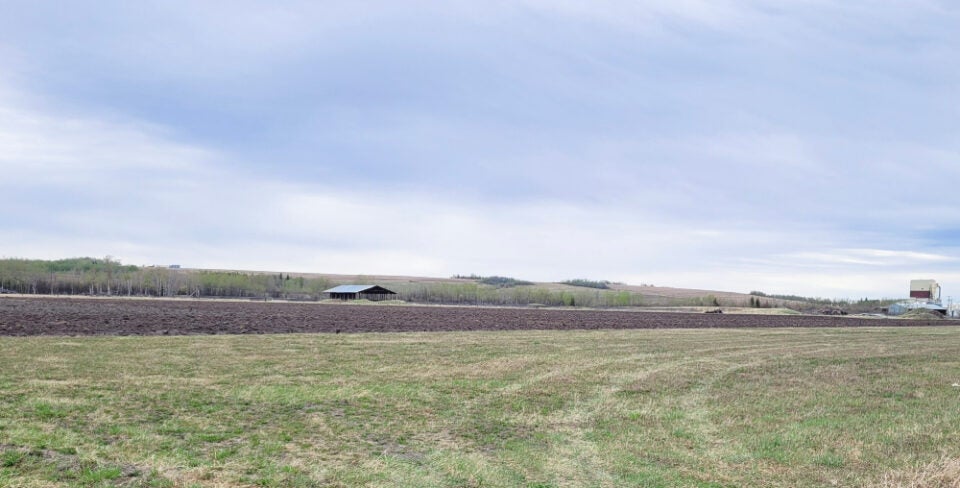 Crop Demonstration Plot coming to Northern Lights College Farm