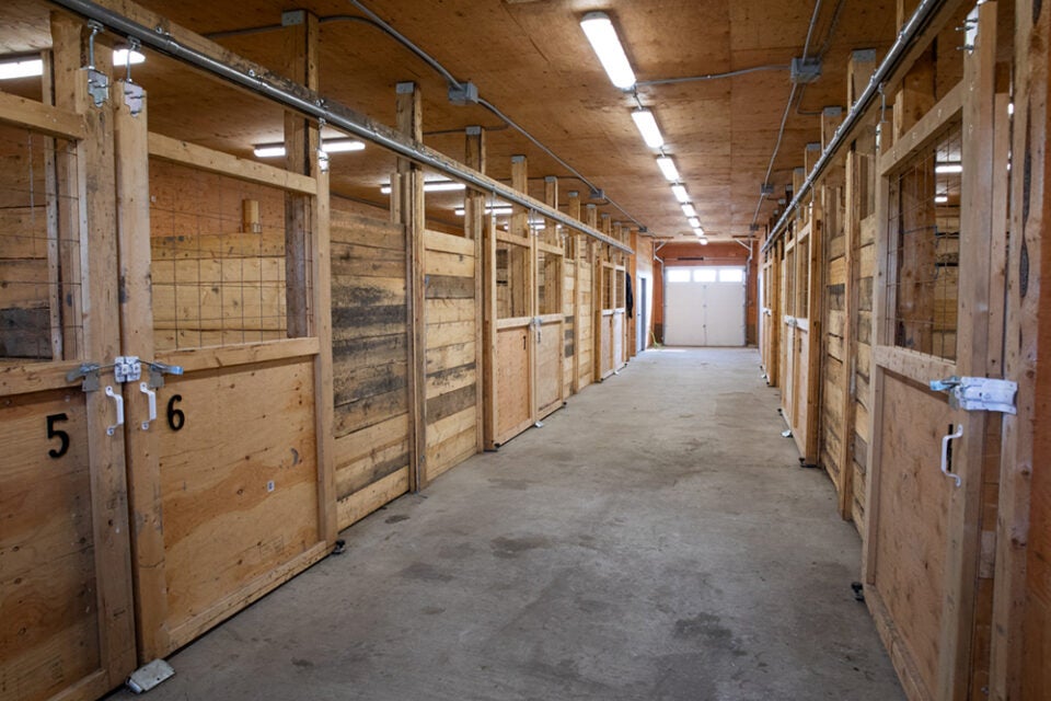 horse stalls in barn off walkway