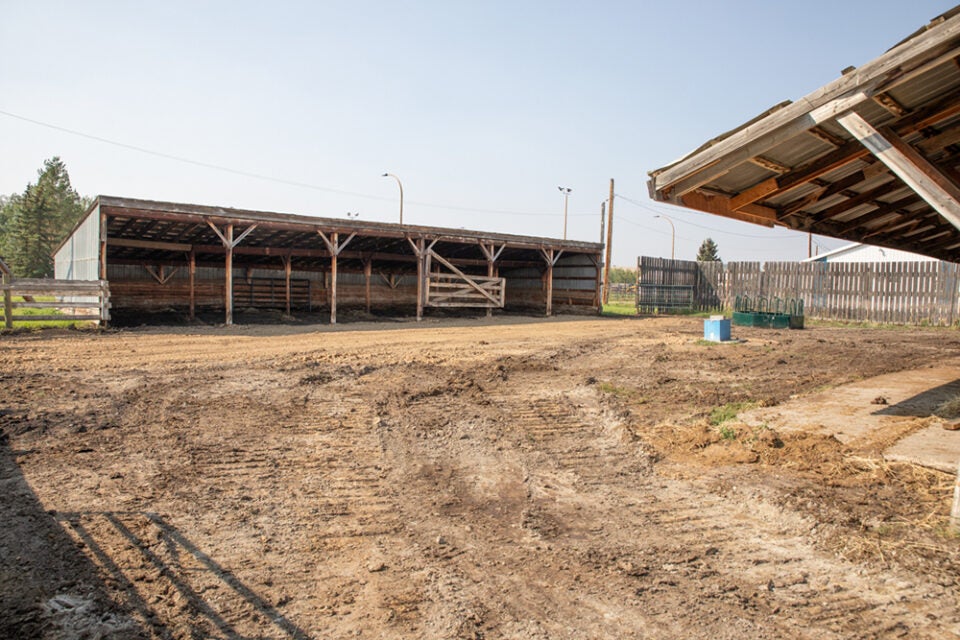 Six outdoor stalls for horses