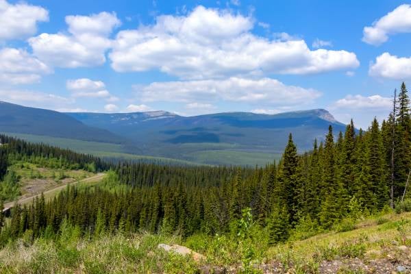 Landscape around Tumbler Ridge