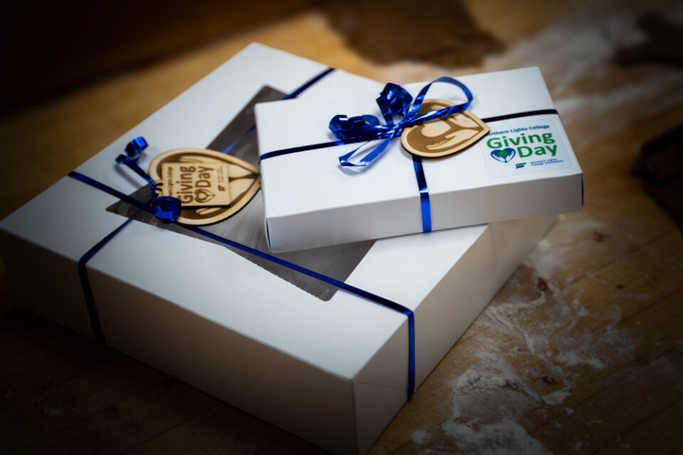 Image of two white boxes with blue ribbons and giving day logo.