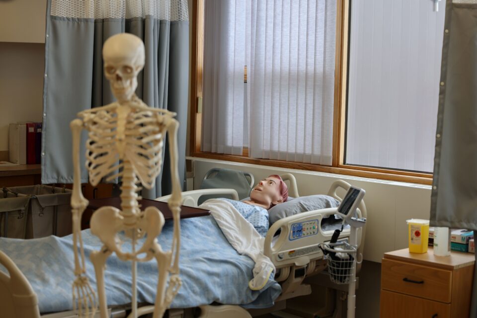 A plastic skeleton on a stand stands beside a hospital bed with a medical dummy