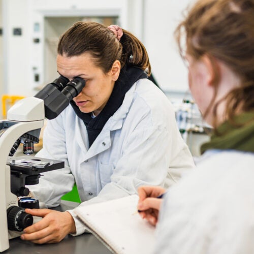 two lab technicians one looks through microscope while other writes.