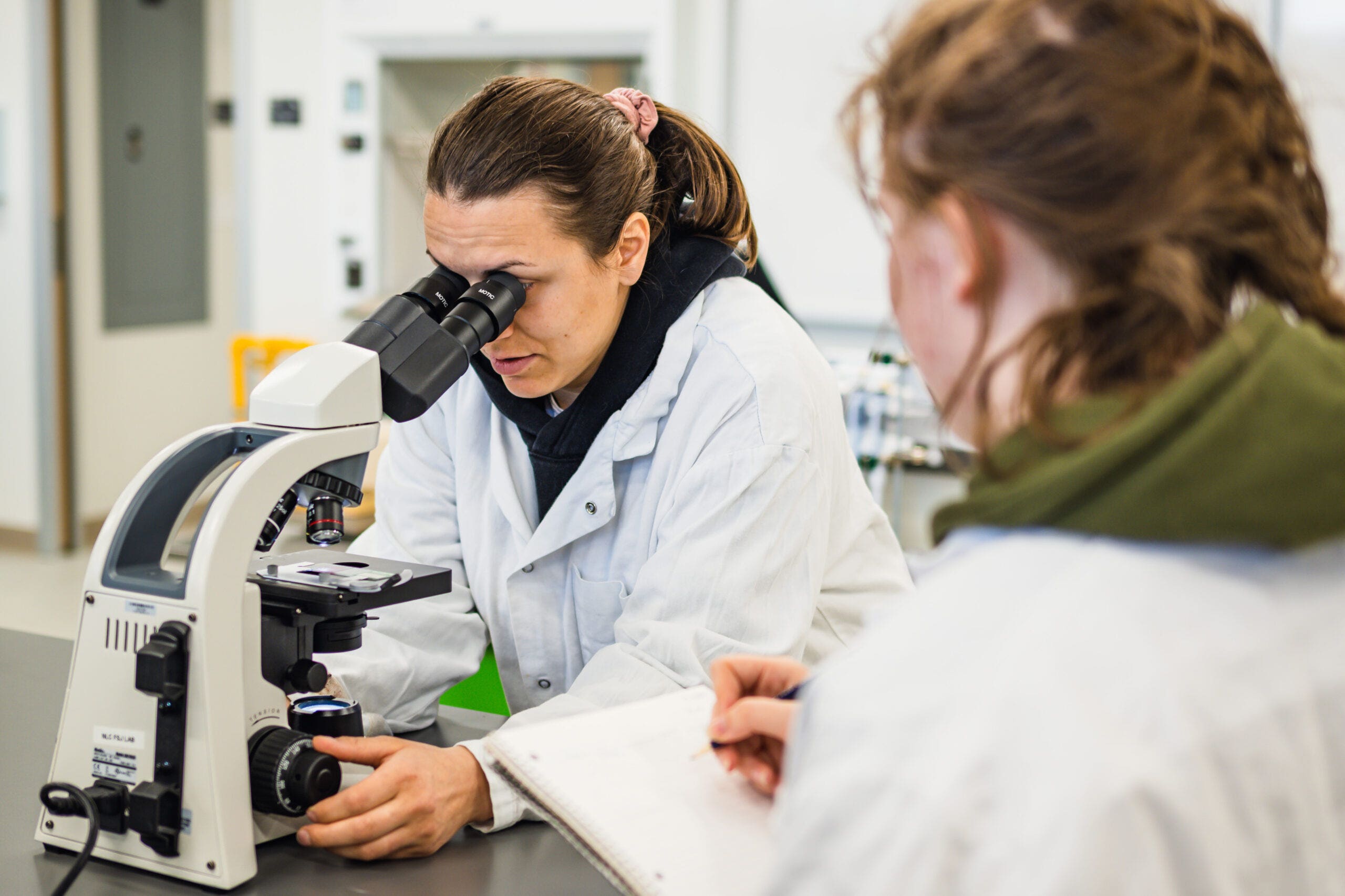 two lab technicians one looks through microscope while other writes.