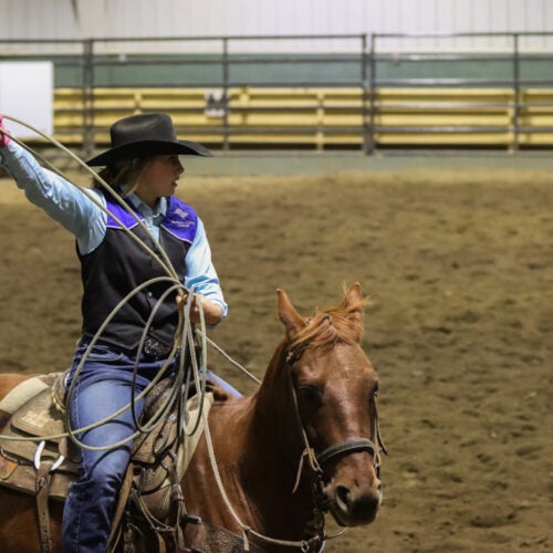 Northern Lights College Rodeo Team member ready to rope.